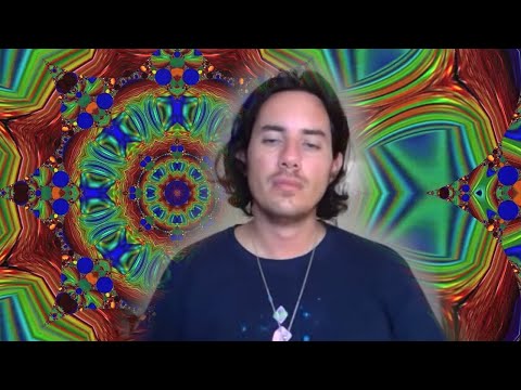 Day 356 VEGETABLE Alignment - Matias De Stefano - English Edit