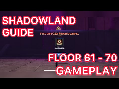 [SHADOWLAND GUIDE] FLOOR 61 - 70 GAMEPLAY