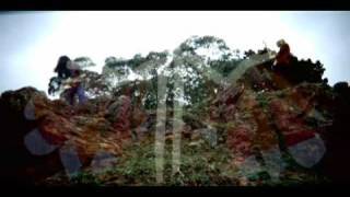 Sleepy Sun - White Dove