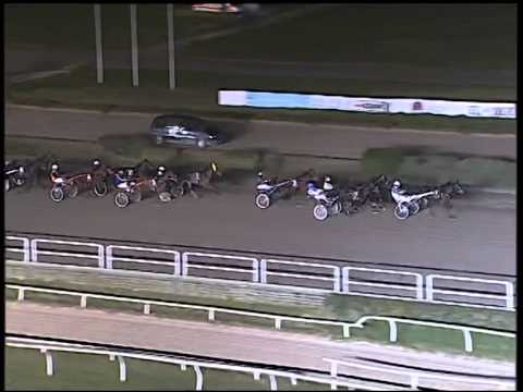 Trotto 08/01/2015 - 7° corsa