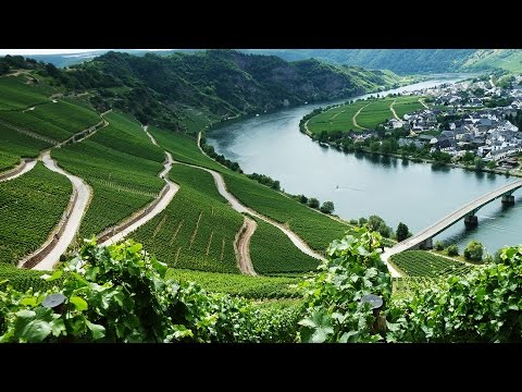 Der Moselsteig: 9. Etappe, Neumagen - Kesten