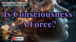 "Consciousness: A New Fundamental Force? | Learn while you sleep"