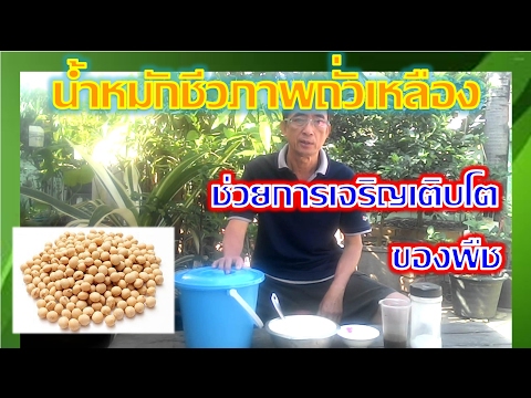 ครีมสำหรับเด็กจาก neurodermatitis แก้วกับหัวโรคสะเก็ดเงิน