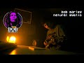 Bob Marley Natural Mystic Atmospheric Guitar Synth Cover Remix Chilled Instrumental