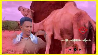 Download lagu GABAY CUSUB BAADI GOOB JACAYL ) BY ABWAAN AAMIN INDHOYARE NEW VIDEO mp3