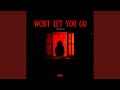Won't Let You Go