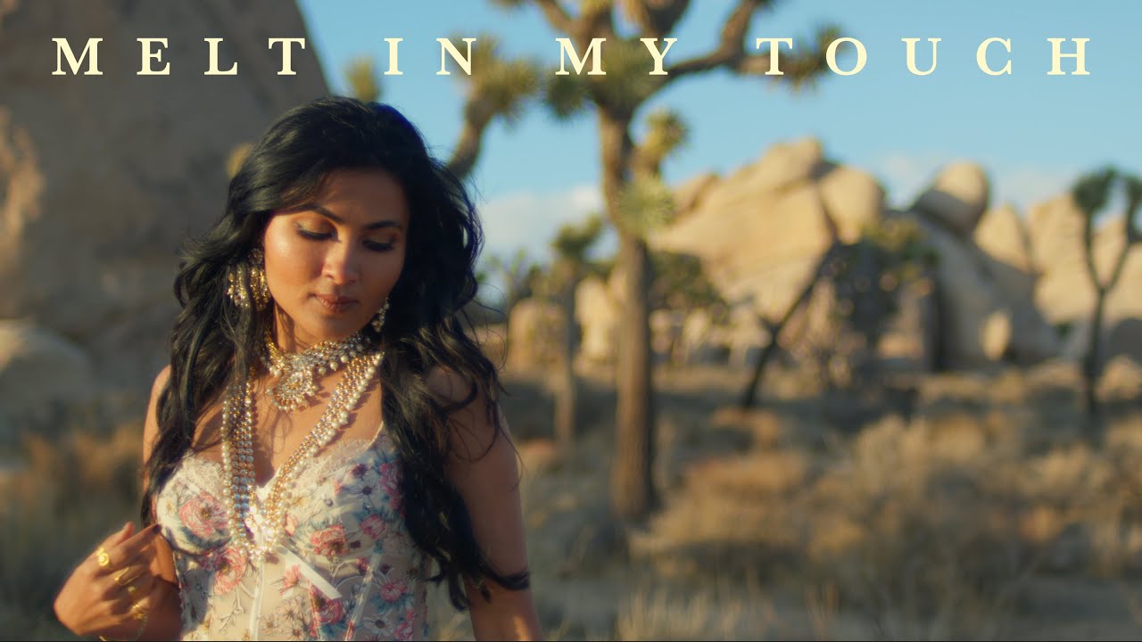 Vidya Vox — Melt In My Touch