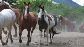 My Sweet Wyoming Home