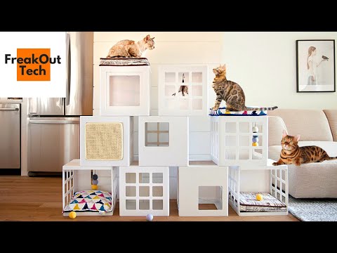 Top 6 Best Modern Cat Furniture