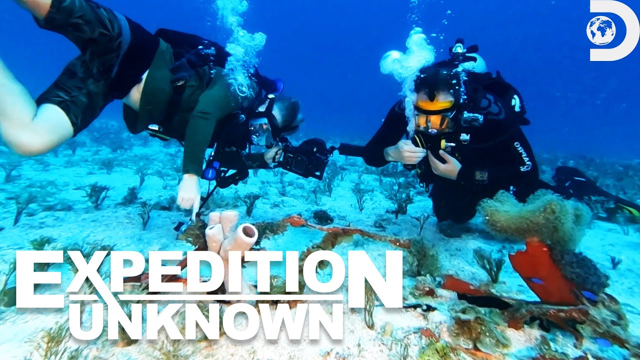 YouTube Thumbnail Downloader FULL HQ IMAGE