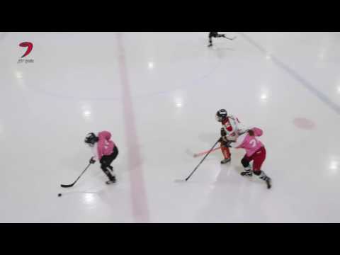 JYP D-tytöt - Jokipojat 19.2.2017