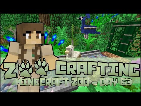 Fancy Feathered Family! 🐘 Zoo Crafting: Season 2 - Episode #63