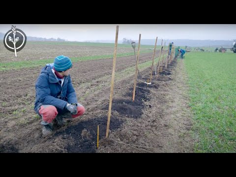Die Zukunftsbauern - Heckenpflanzung Schloss Tempelhof