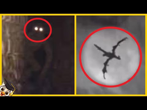 10 Mythological Creatures Caught on Camera
