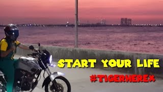 Download lagu story wa cah herex  #TIGERHEREXINDONESIA mp3