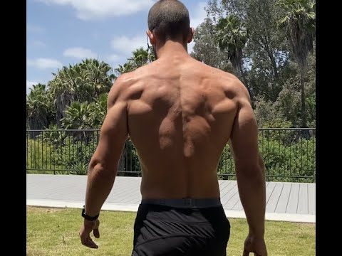 The plan for doubling your max pull ups!