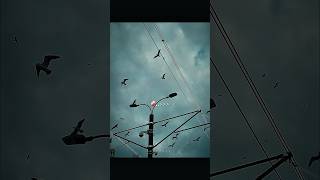 Download lagu Tabah ❤️‍🩹🔥| Mohit Chauhan | Aesthetic Lyrics | #shorts #viral #lyrics #trending #love mp3