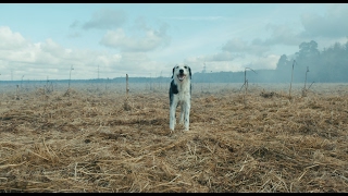 Der Hund begraben Trailer [HD]