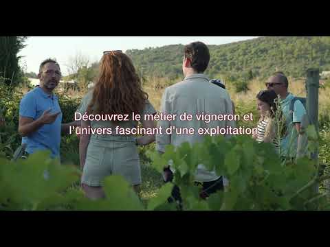 Thumbnail - Les chemins du vigneron