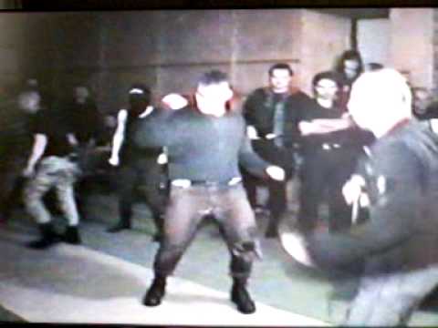 ANABERG-PACEM IN TERRIS.MOV