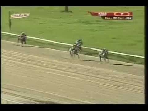 Resumen Jueves, 16 de Octubre de 2014 - Valencia