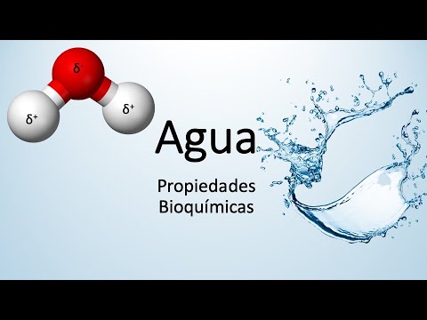 Agua: Propiedades bioquímicas