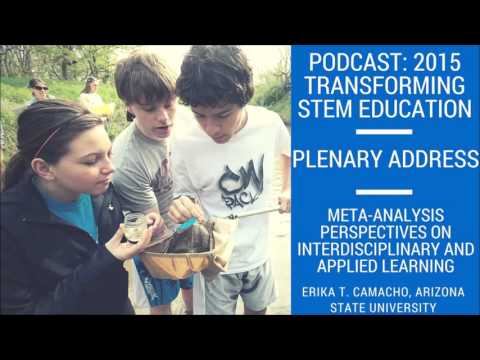 Meta-analysis Perspectives on Interdisciplinary and Applied Learning