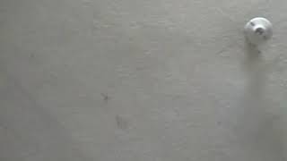 Descargar Mp3 De Te Juro Que Te Amo Los Temerarios Gratis Buentema Mp3 Org descargar mp3 de te juro que te amo los