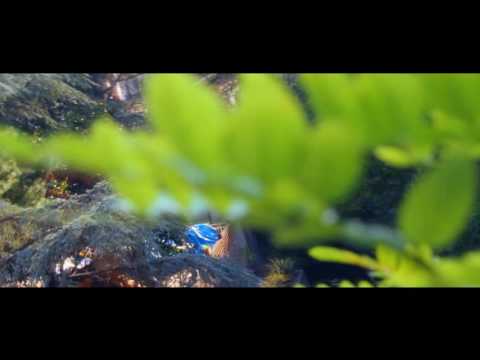 THE ESSENCE OF PAOLA - Santuario San Francesco di Paola [SHORT FILM]