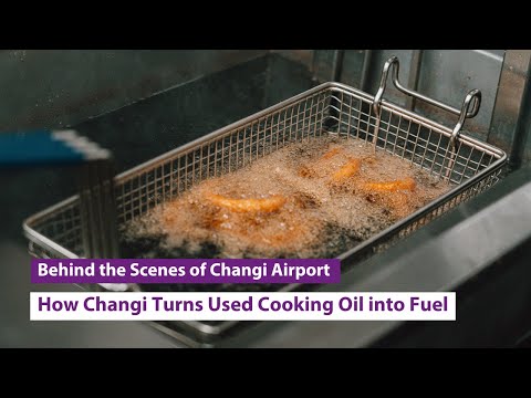 How Changi Airport Turns Used Cooking Oil into Fuel