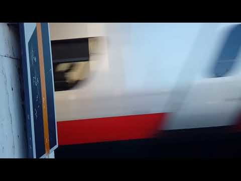 FRECCIARGENTO 8451 VENEZIA SANTA LUCIA -ROMA TERMINI
