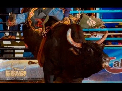 Round II Final Circuito Rancho Primavera Quintana 2015