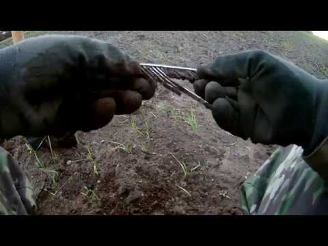 Pomorskie Wykopki - 03.11.2017