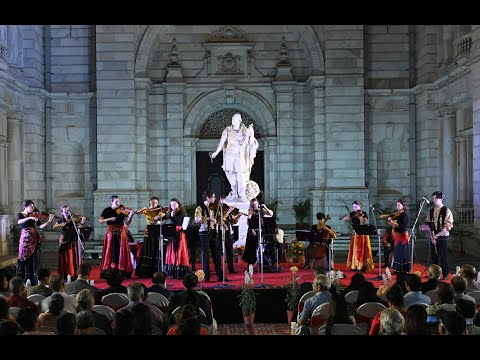 Violons Tziganes -  A Franco-Romanian Initiative