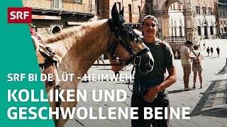 Pferde-Notfall auf dem Heimritt: Kann Matthias Gisler seinen Traum retten? | Heimweh S2 4/4 | SRF