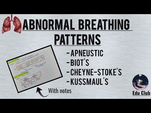 Abnormal Breathing Patterns || Respiratory Physiology