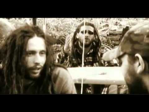 Roe Delgado -Grandes amigos "Mundo plastificado" 2008.