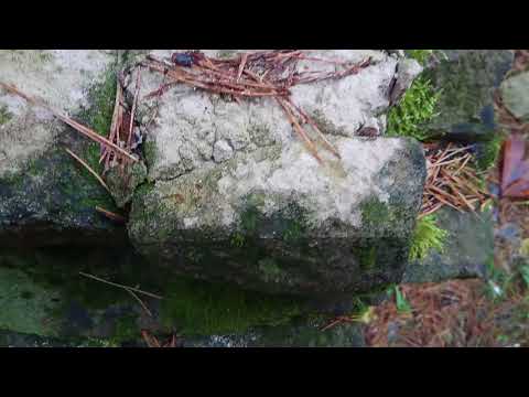 CAT S41 1080p video test