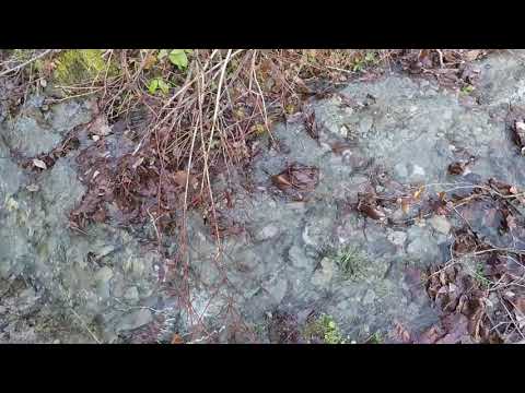 РОВЦА - ГУЊАН И ИЗВОР 2021