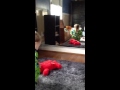Tickle Me Elmo