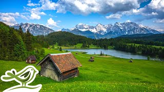 Beautiful Piano Radio 🎹 Relaxing Music for Sleep, Studying & Relaxation 24/7