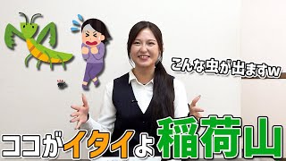  ここがイタイよ、稲荷山！社員が思う嫌なところ本音トーク！