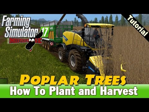 Farming Simulator 17 - How To Plant and Harvest Poplars