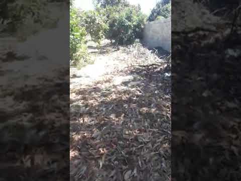 Bán đất mặt tiền đường DT 716 Hoà Thắng - Bàu Trắng