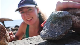How To Find Fossils On The Jurassic Coast! Fossil Friday