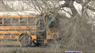 Tree falls on BISD school bus