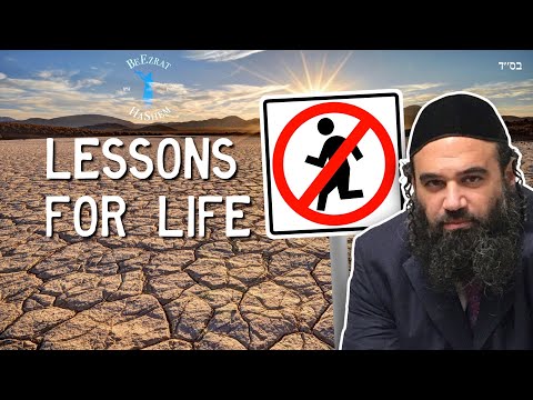 Lessons for Life in Parshat Korach
