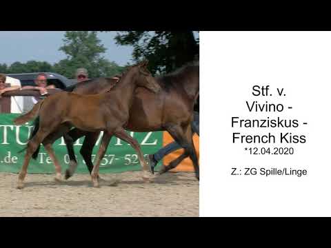 Stf v Vivino x Franziskus x French Kiss 2020