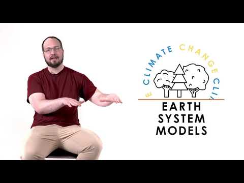 Global Mycorrhizal Fungi Networks: Untangling the Wood Wide Web