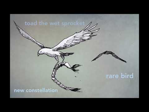 Rare Bird - Toad the Wet Sprocket